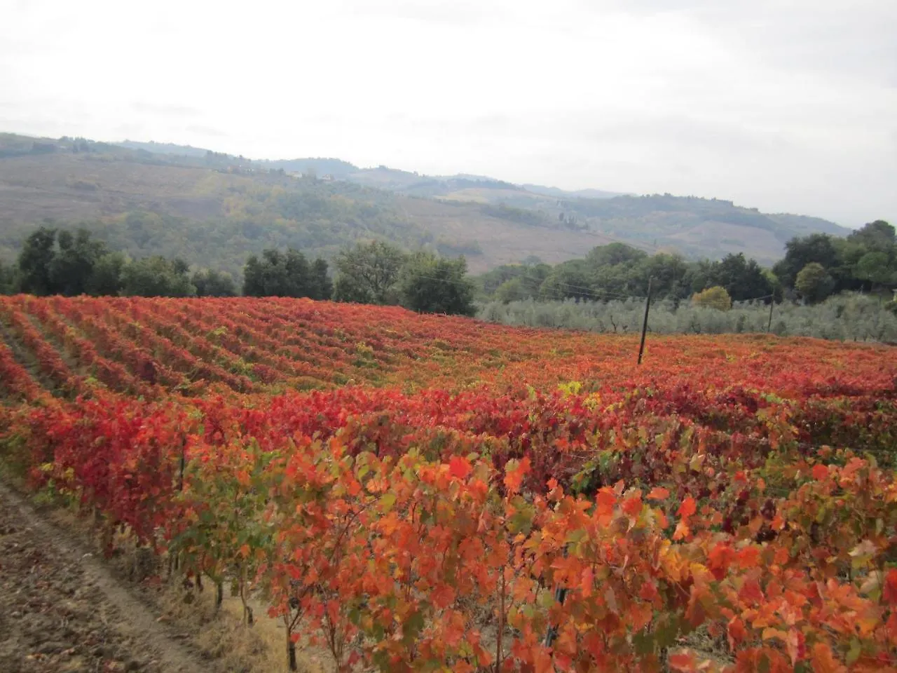 Farm stay Le Fonti A San Giorgio Villa Montespertoli Italy
